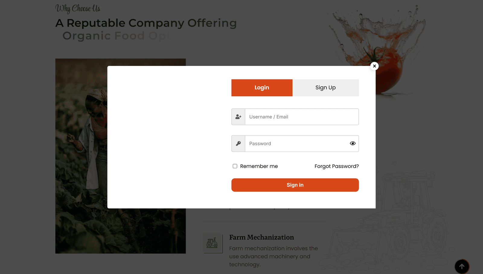 A-Lit Digital — Features / Services